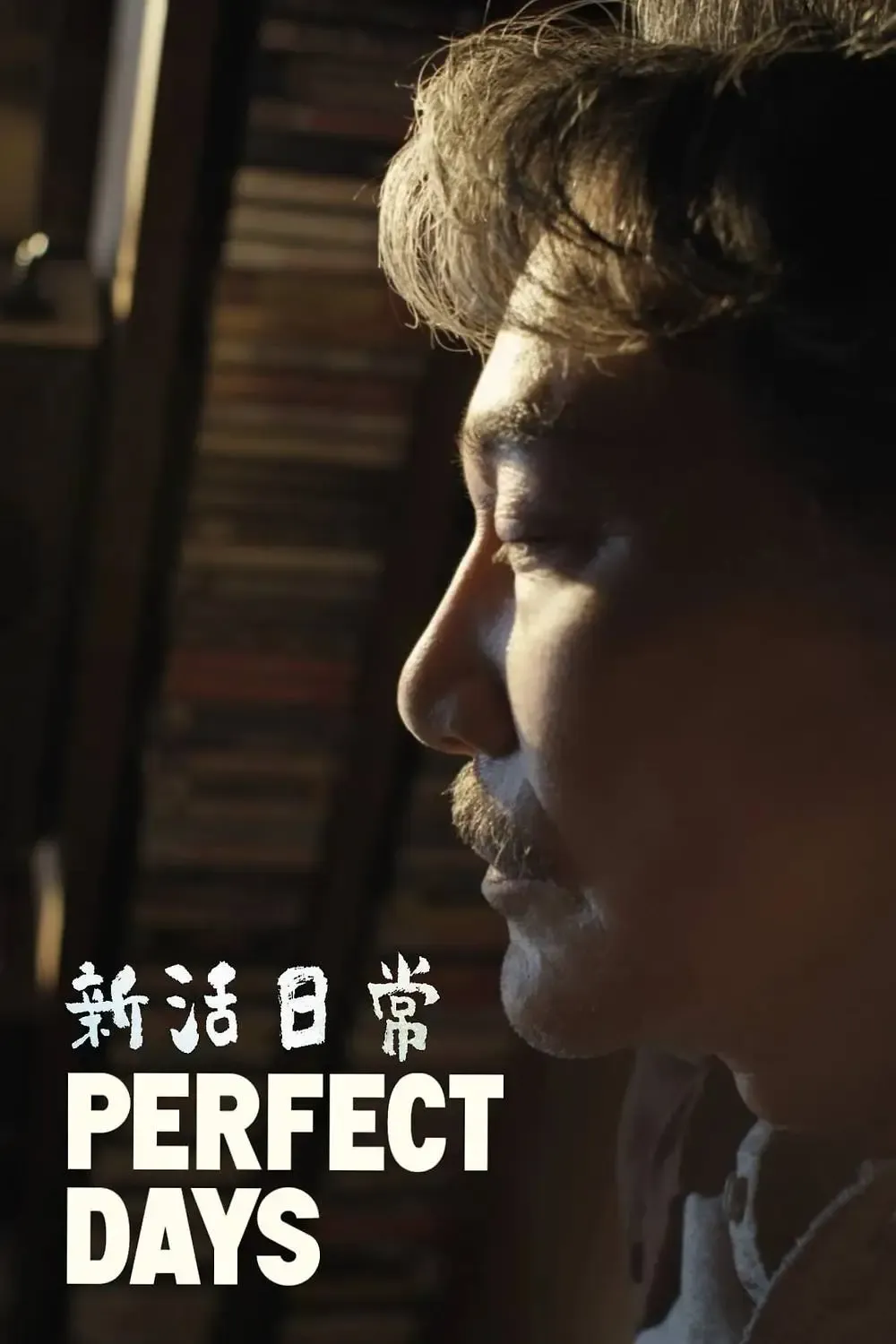 Perfect Days Poster